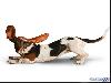 Yoga Dogs for 2010